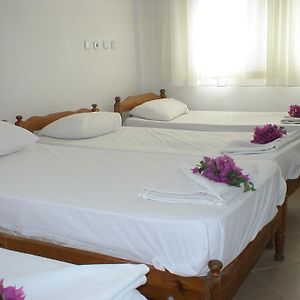 Standart Dört Kişilik Oda